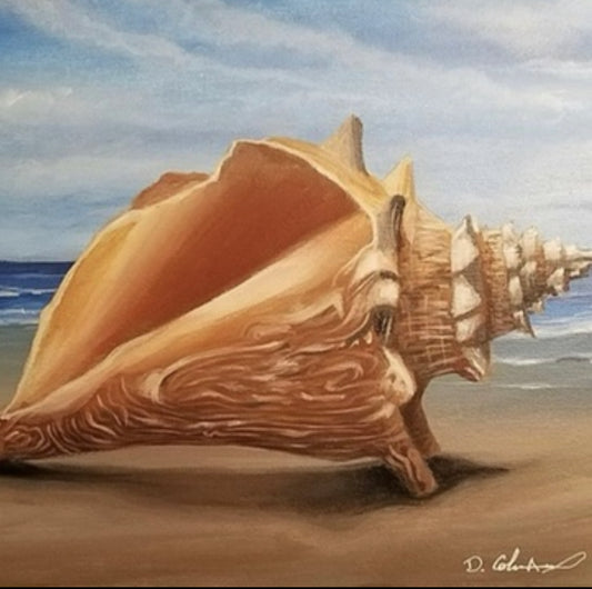 “Charleston Conch” by Dana Coleman