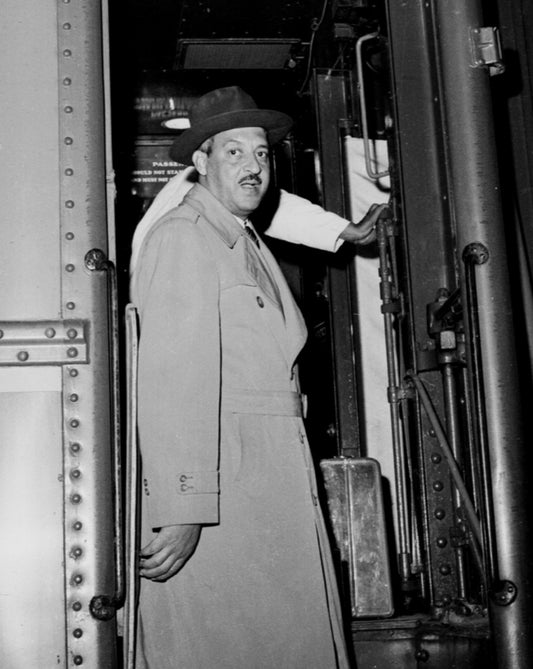 “Thurgood Marshall’s Arrival” by Cecil Williams
